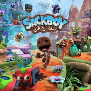 Sackboy A Big Adventure PS4 and PS5 shared account cover art
